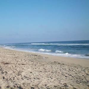 Meet your Posher, Kelli